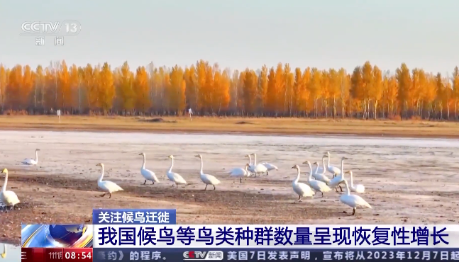 截屏2023-11-09 11.26.06.png