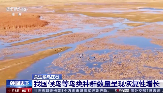 截屏2023-11-09 11.25.51.png